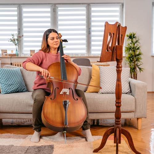 Spruce panel cello full - panel,